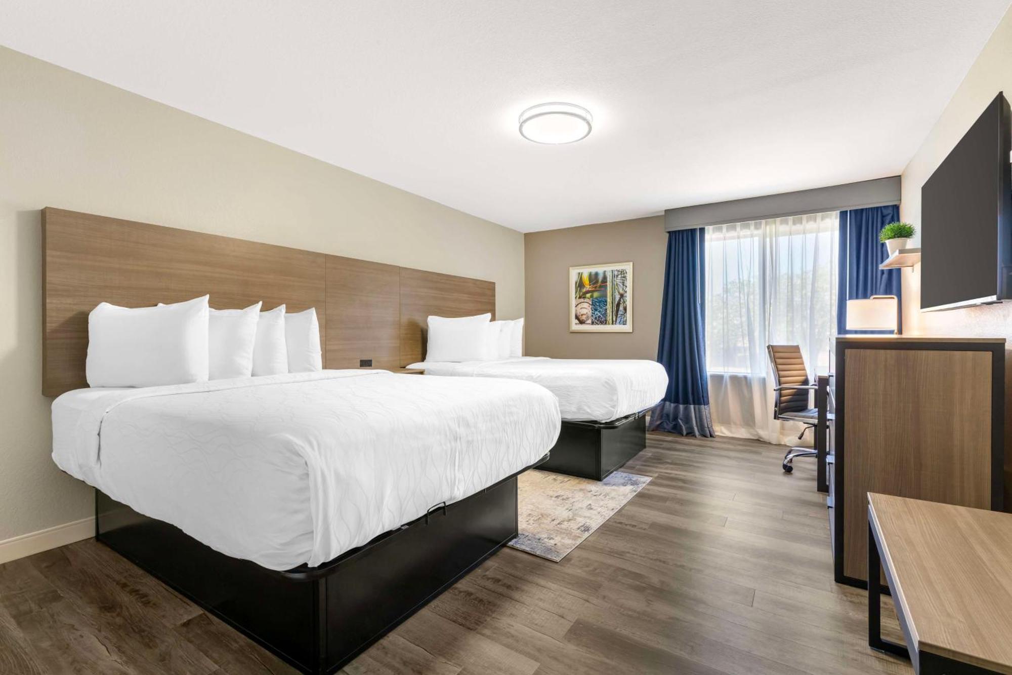 Best Western Plus Lewisville Flower Mound Εξωτερικό φωτογραφία