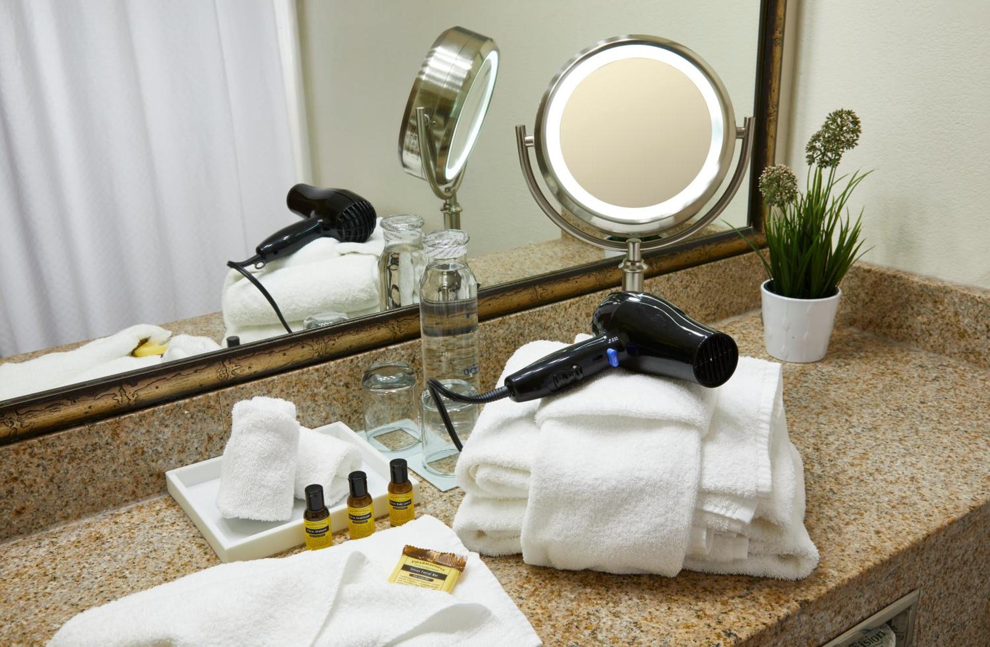 Best Western Plus Lewisville Flower Mound Εξωτερικό φωτογραφία