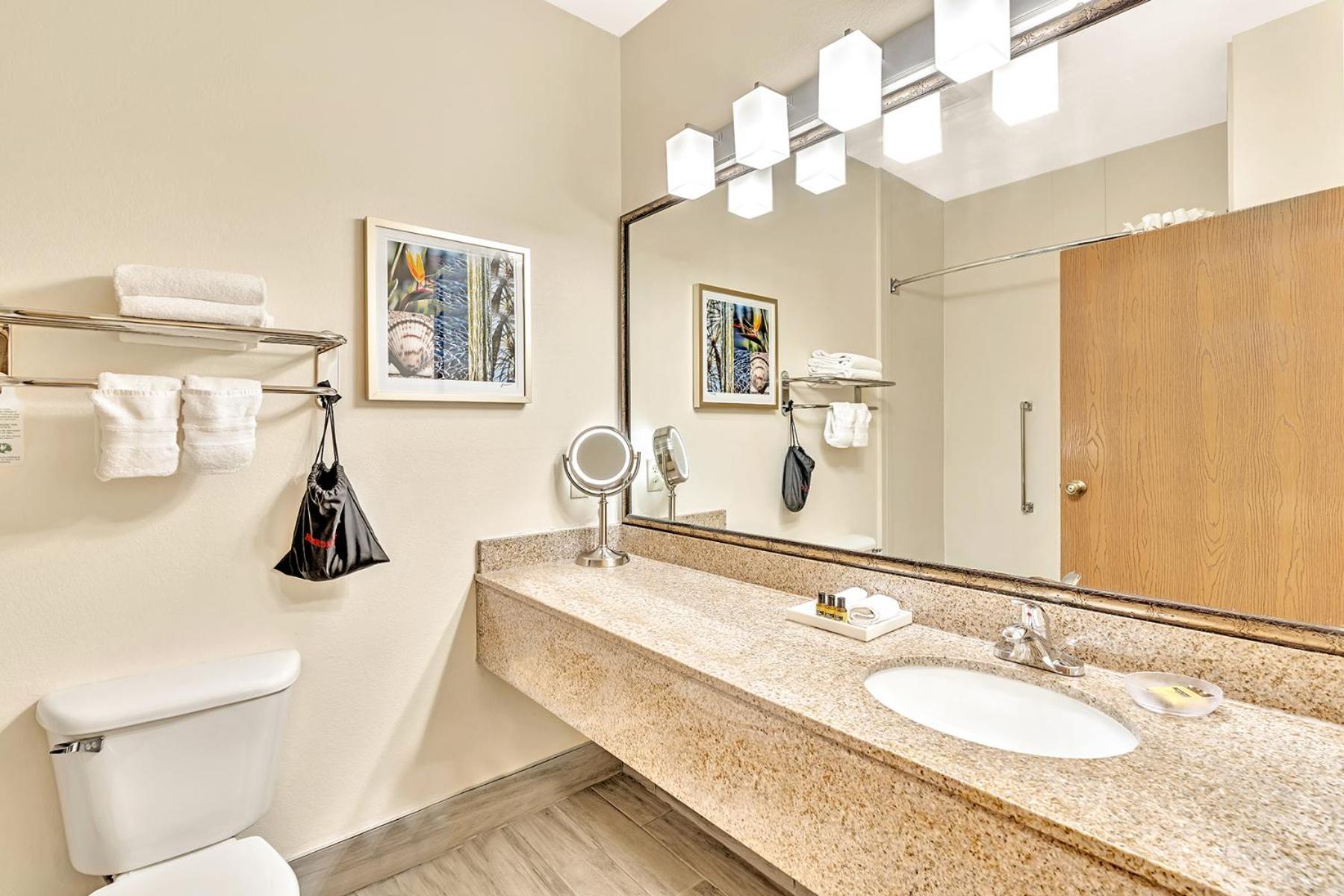 Best Western Plus Lewisville Flower Mound Δωμάτιο φωτογραφία